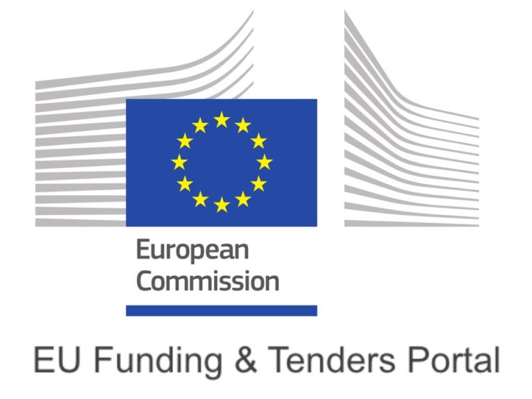 Call for Proposal: EU Funding for AI and Cybersecurity in Public Services
